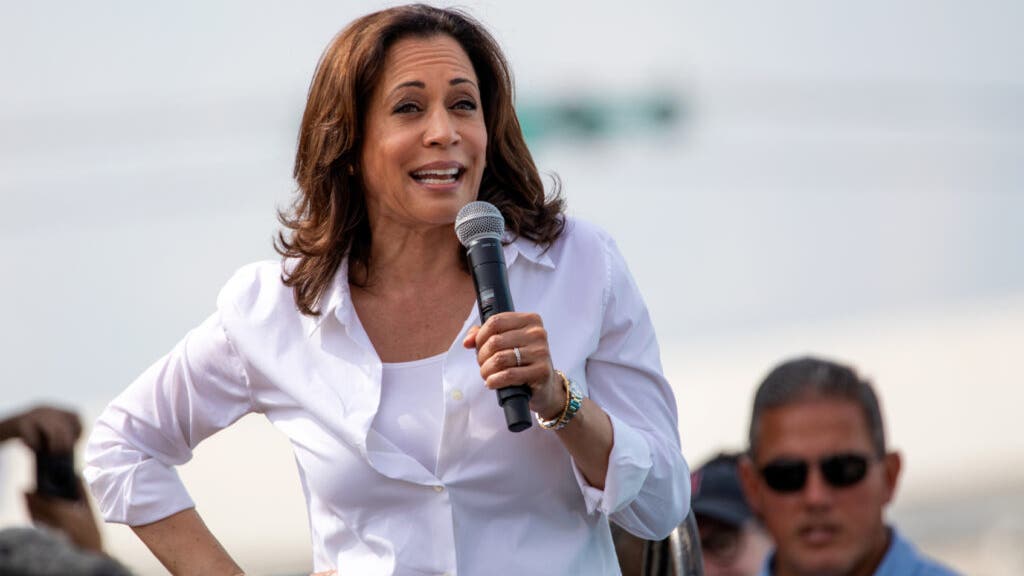 nancy-pelosi-vs.-kamala-harris:-poll-shows-who-people-think-is-the-better-investor